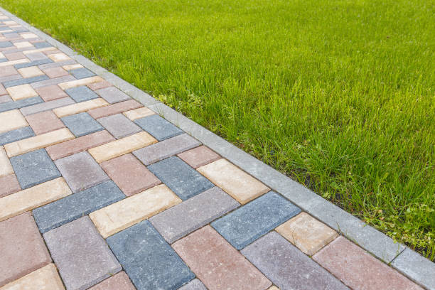 Best Local Driveway Pavers  in Easton, MD